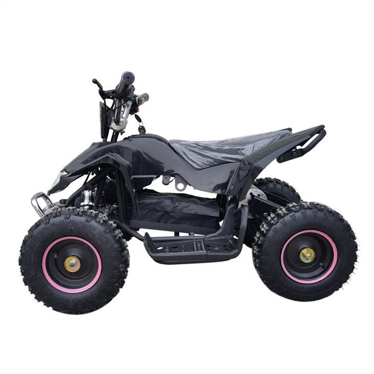 electic atv 500w (1)
